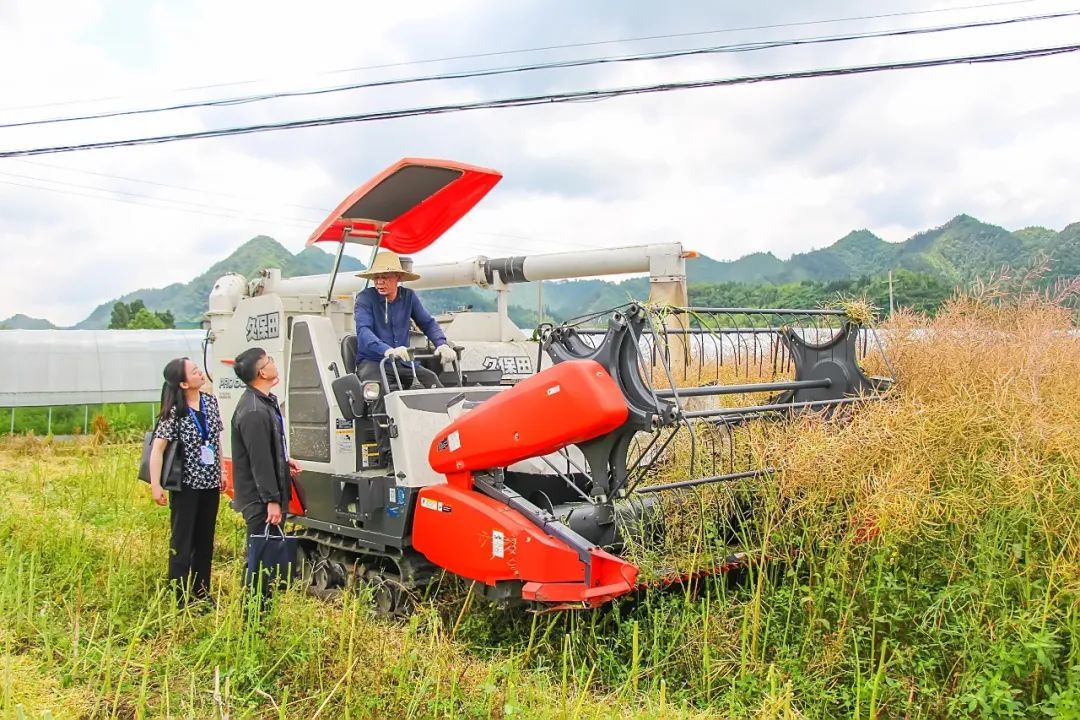 微信图片_20220529080350.jpg 微信图片_20220529080350.jpg